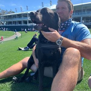 Meet your Posher, Beau